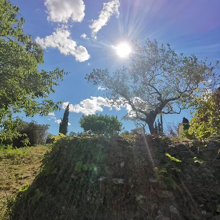Les Citronniers Saint-Montan