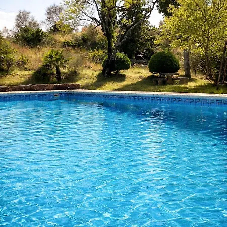 Apartment Les Citronniers Cour Fleurie Et Piscine *