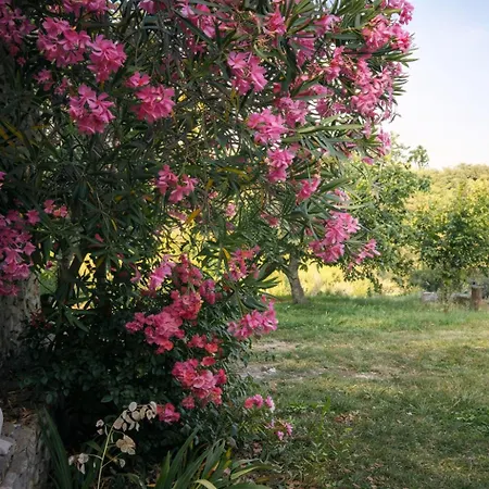 Les Citronniers - Escapade En Sud Ardeche 公寓