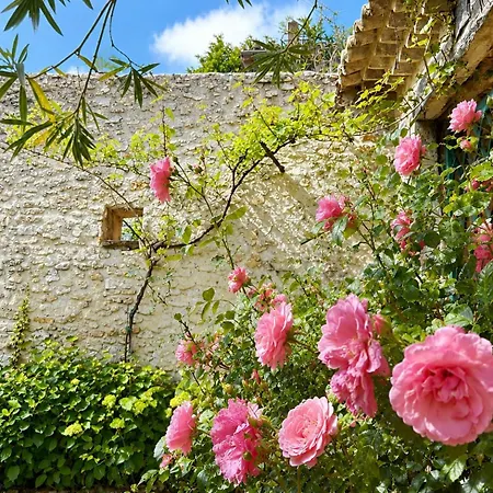Apartment Les Citronniers Cour Fleurie Et Piscine